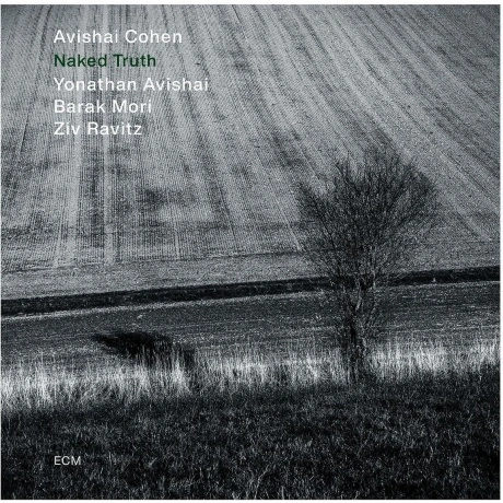 Avishai Cohen - Naked Truth (0602445053650) виниловая пластинка