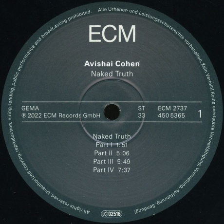 Avishai Cohen - Naked Truth (0602445053650) виниловая пластинка - фото 2