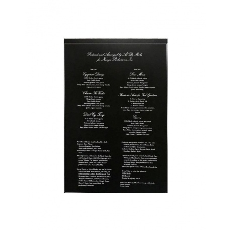 Al Di Meola - Casino (Analogue) (4260019715654) виниловая пластинка - фото 7