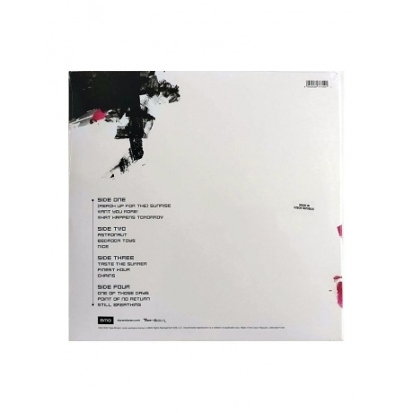 4050538777291, Виниловая пластинкаDuran Duran, Astronaut - фото 2