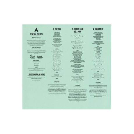 Caro Emerald - The Shocking Miss Emerald (8718546200090) виниловая пластинка - фото 6