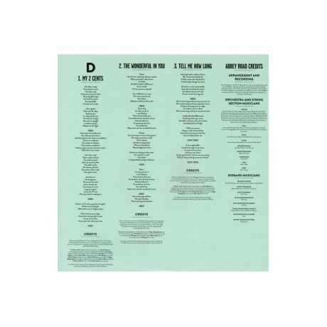 Caro Emerald - The Shocking Miss Emerald (8718546200090) виниловая пластинка - фото 9