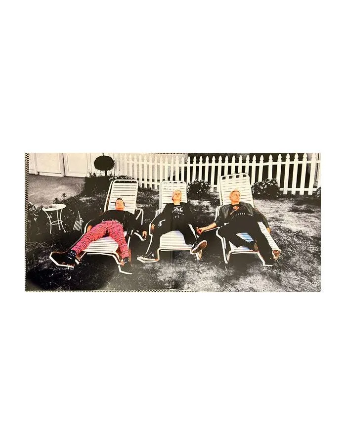 0093624866091, Виниловая пластинкаGreen Day, Saviors - deluxe - фото 2