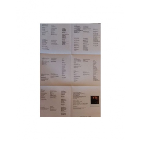 0093624866091, Виниловая пластинкаGreen Day, Saviors - deluxe - фото 8