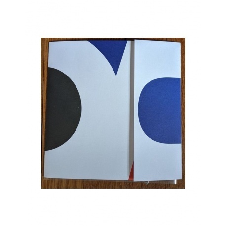 Algiers - There Is No Year (coloured) (0744861143901) виниловая пластинка - фото 11