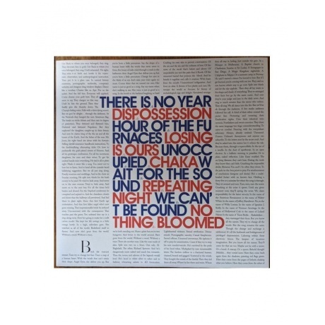 Algiers - There Is No Year (coloured) (0744861143901) виниловая пластинка - фото 3