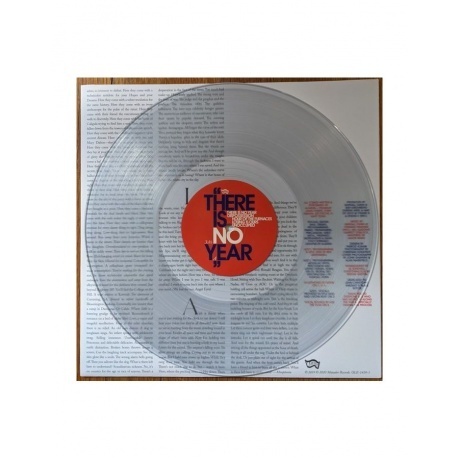 Algiers - There Is No Year (coloured) (0744861143901) виниловая пластинка - фото 5