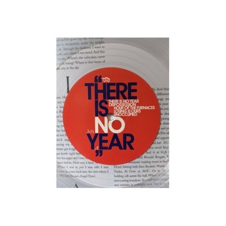 Algiers - There Is No Year (coloured) (0744861143901) виниловая пластинка - фото 6