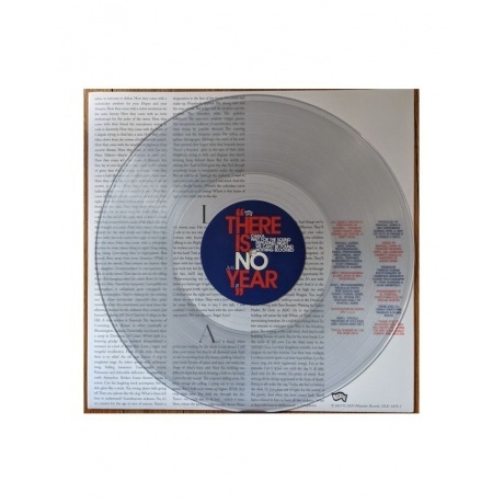 Algiers - There Is No Year (coloured) (0744861143901) виниловая пластинка - фото 7