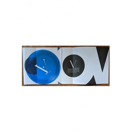 Algiers - There Is No Year (coloured) (0744861143901) виниловая пластинка - фото 9