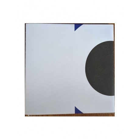 Algiers - There Is No Year (coloured) (0744861143901) виниловая пластинка - фото 10