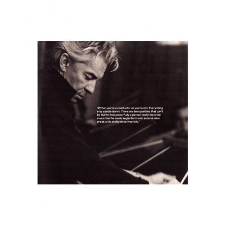 Herbert von Karajan - Strauss: Don Juan, Tod Und Verklarung, Also Sprach Zarathustra (Analogue) (0289484096178) виниловая пластинка - фото 3