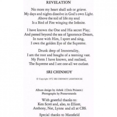 The Mahavishnu Orchestra - Birds Of Fire (Analogue) (4260019715753) виниловая пластинка - фото 9