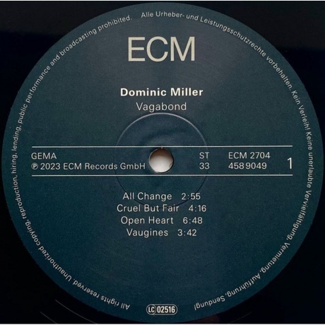 Dominic Miller - Vagabond (0602445890491) виниловая пластинка - фото 3