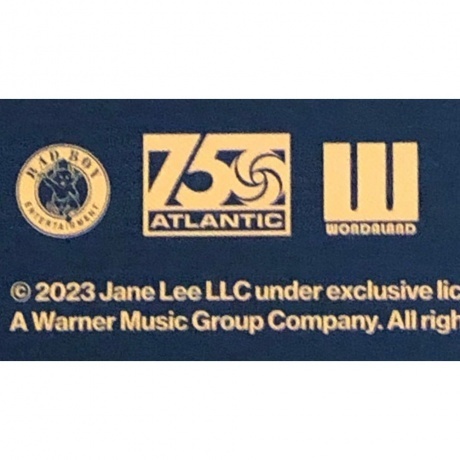 Janelle Monae - The Age Of Pleasure (0075678626838) виниловая пластинка - фото 12