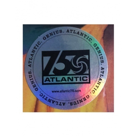 Janelle Monae - The Age Of Pleasure (0075678626838) виниловая пластинка - фото 14