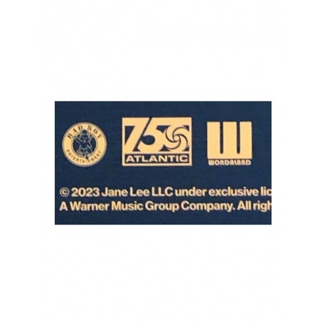 Janelle Monae - The Age Of Pleasure (0075678626838) виниловая пластинка - фото 15