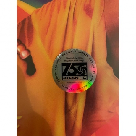 Janelle Monae - The Age Of Pleasure (0075678626838) виниловая пластинка - фото 10