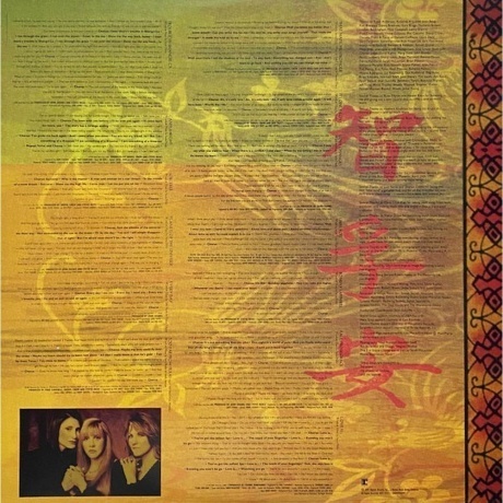 Stevie Nicks - Trouble In Shangri-La (coloured) (0603497826902) виниловая пластинка - фото 12