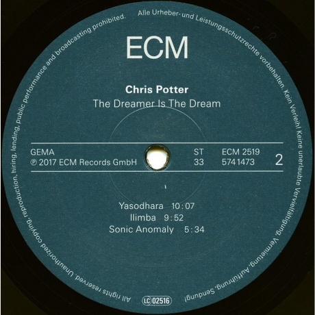 Chris Potter - The Dreamer Is The Dreamer (0602557414738) виниловая пластинка - фото 4