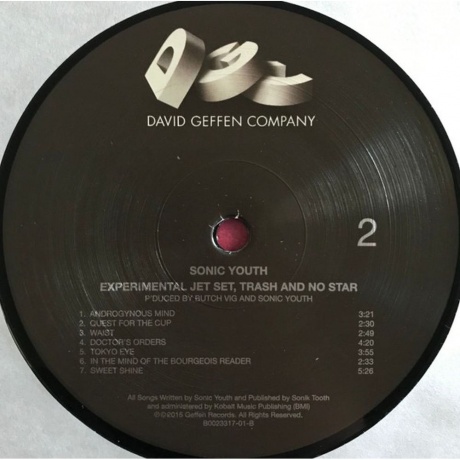 Sonic Youth - Experimental Jet Set, Trash And No Star (0602547349392) виниловая пластинка - фото 4