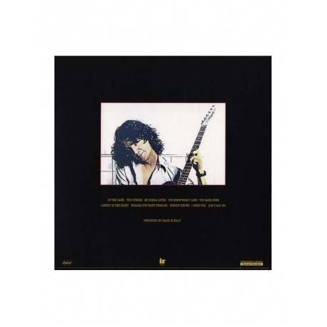 Billy Squier - Don’t Say No (Analogue) (0707129301444) виниловая пластинка - фото 2