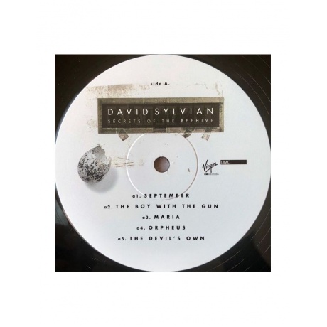 0602567953364, Виниловая пластинкаSylvian, David, Secrets Of The Beehive - фото 4
