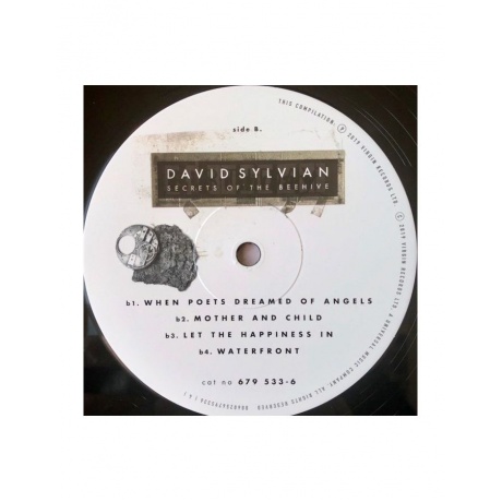 0602567953364, Виниловая пластинкаSylvian, David, Secrets Of The Beehive - фото 5