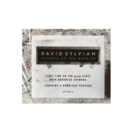 0602567953364, Виниловая пластинкаSylvian, David, Secrets Of The Beehive - фото 8