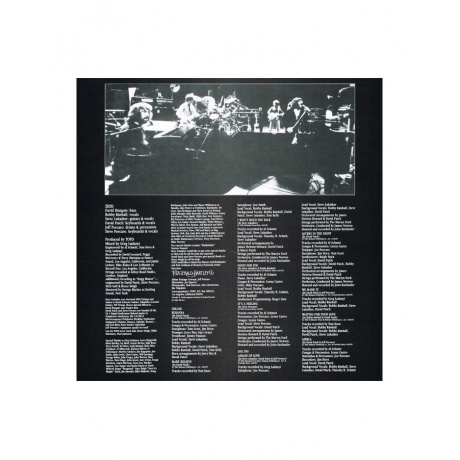 Toto - IV (Analogue) (4260019713186) виниловая пластинка - фото 9