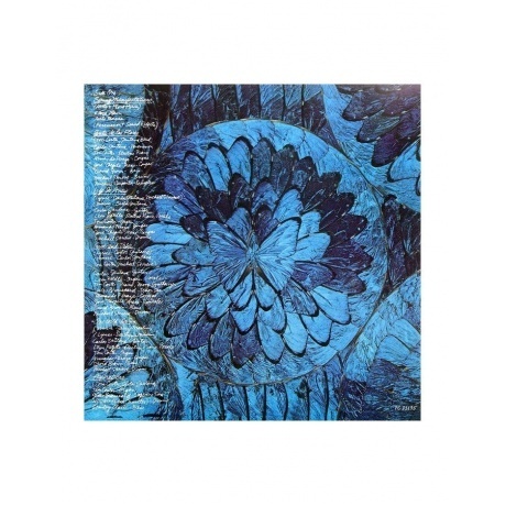 Santana - Borboletta (Analogue) (4260019714688) виниловая пластинка - фото 6