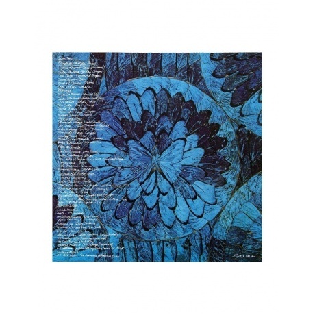 Santana - Borboletta (Analogue) (4260019714688) виниловая пластинка - фото 7