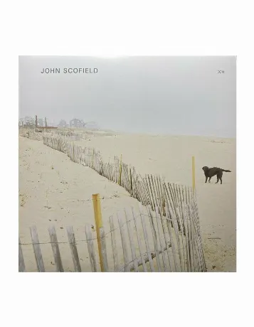 0602445343874, Виниловая пластинкаScofield, John, John Scofield