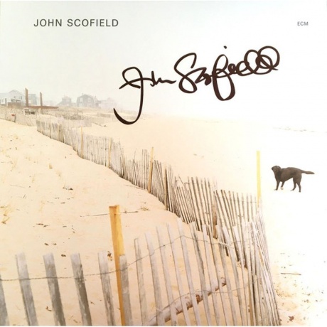 John Scofield - John Scofield (0602445343874) виниловая пластинка - фото 2