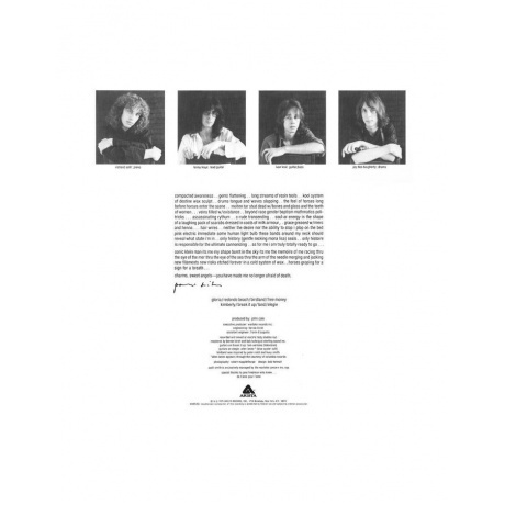 Patti Smith - Horses (Analogue) (4260019712721) виниловая пластинка - фото 2