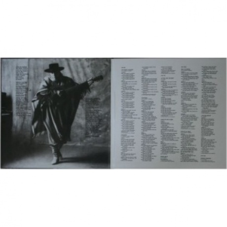 0753088099014, Vaughan, Stevie Ray, In Step (Analogue) виниловая пластинка - фото 2