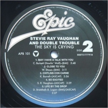 Stevie Ray Vaughan - The Sky Is Crying (Analogue) (0753088010118) виниловая пластинка - фото 6