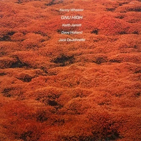 Kenny Wheeler - Gnu High (0602445053469) виниловая пластинка