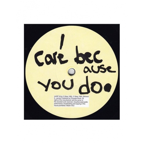 0801061003012, Виниловая пластинка Aphex Twin, I Care Because You Do - фото 3