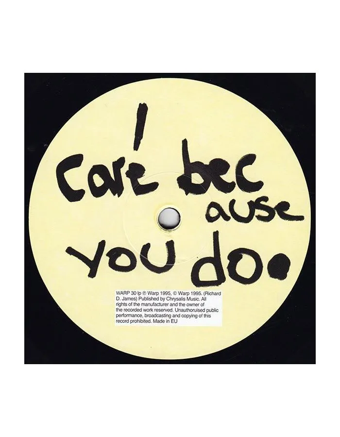 0801061003012, Виниловая пластинка Aphex Twin, I Care Because You Do - фото 3