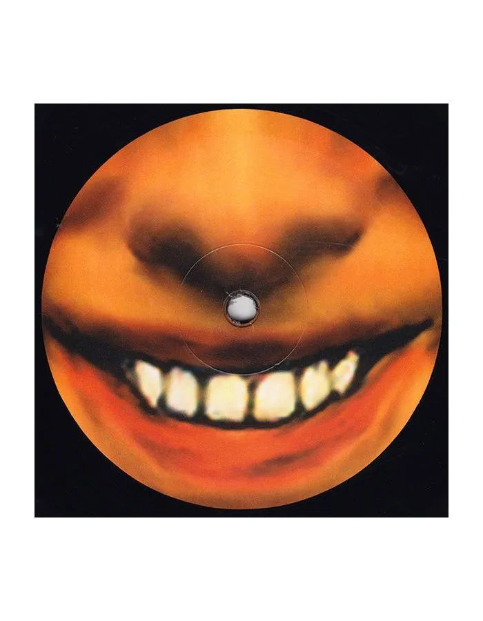 0801061003012, Виниловая пластинка Aphex Twin, I Care Because You Do - фото 4