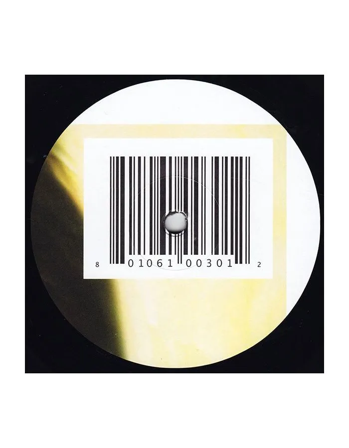 0801061003012, Виниловая пластинка Aphex Twin, I Care Because You Do - фото 5