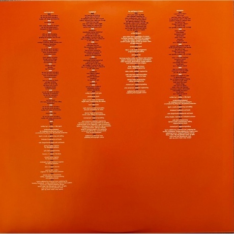 Bjork - Volta (5016958996925) виниловая пластинка - фото 4