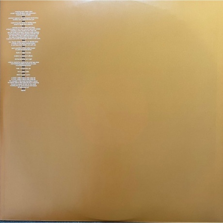 Bjork - Volta (5016958996925) виниловая пластинка - фото 6