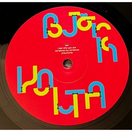 Bjork - Volta (5016958996925) виниловая пластинка - фото 9
