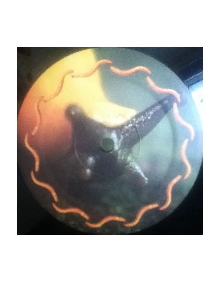 0724358091816, Виниловая пластинка A Perfect Circle, Thirteenth Step - фото 4