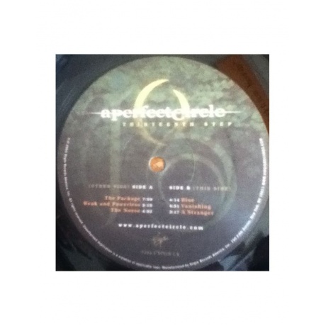 0724358091816, Виниловая пластинка A Perfect Circle, Thirteenth Step - фото 7