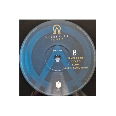 Alphaville, Eternally Yours (0885470027166) виниловая пластинка - фото 7