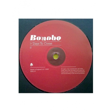 5021392453187, Виниловая пластинка Bonobo, Days To Come - фото 5
