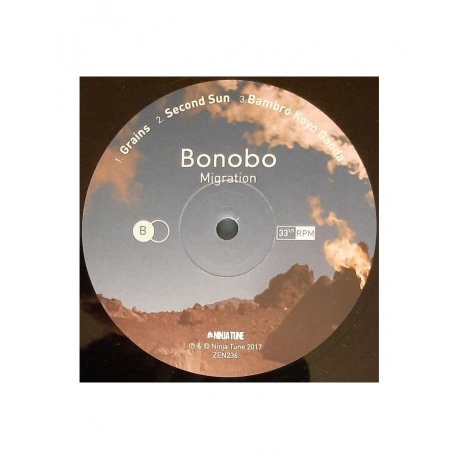 5054429005707, Виниловая пластинка Bonobo, Migration - фото 4